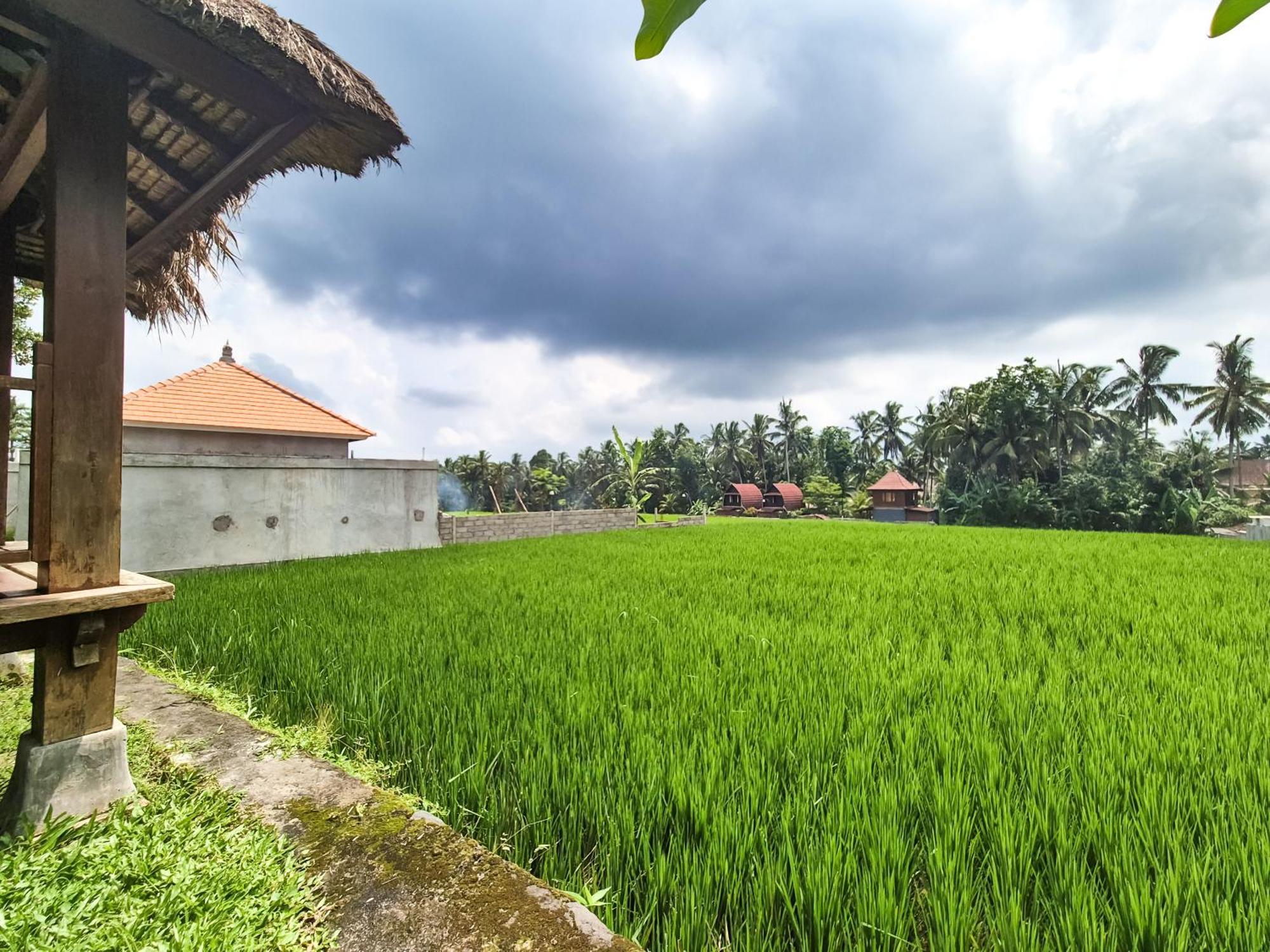 Villa Padi Menari Ubud  Luaran gambar