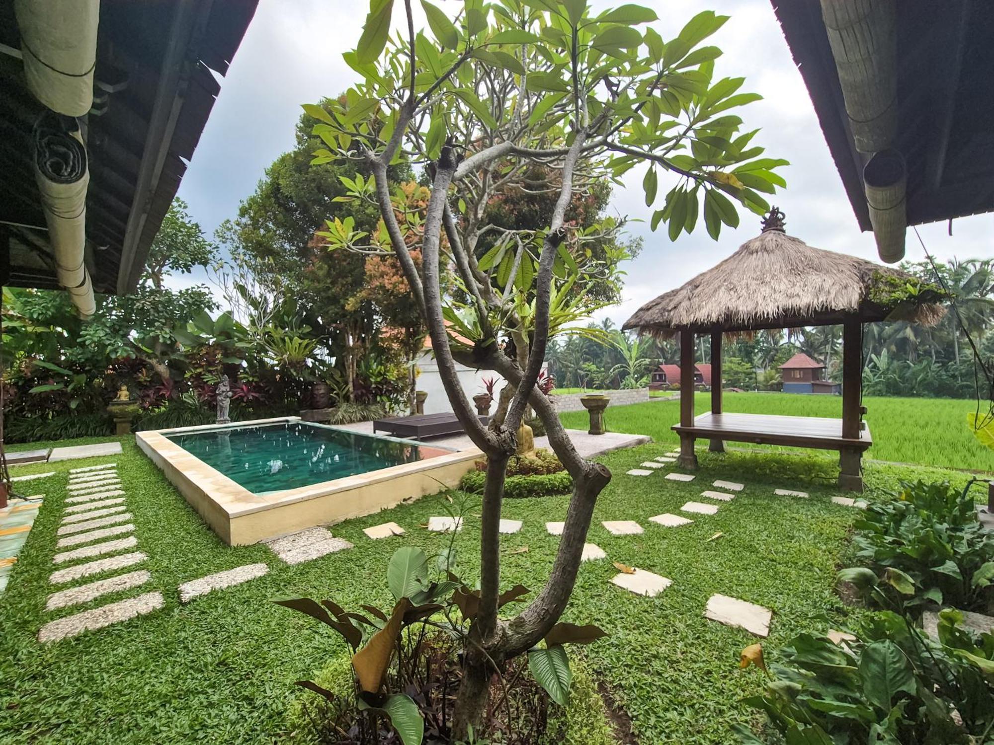 Villa Padi Menari Ubud  Luaran gambar