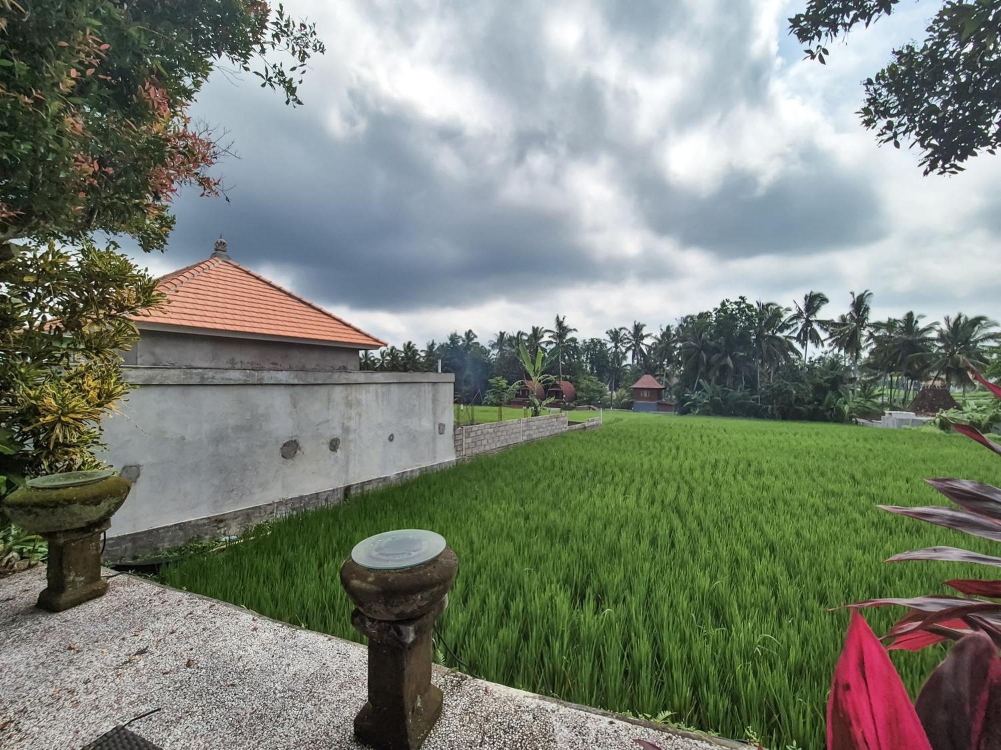 Villa Padi Menari Ubud  Luaran gambar